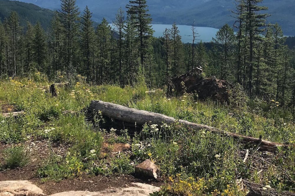 Photo of Outdoor in Kaslo