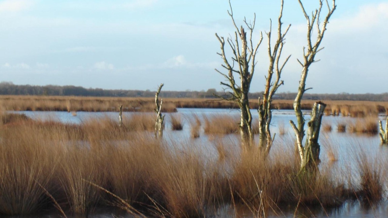 Photo of Outdoor in Veenhuizen
