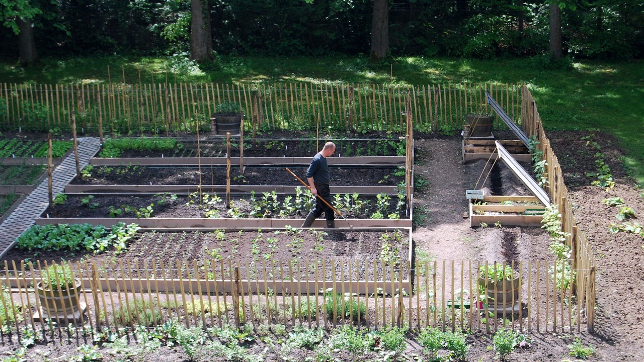 Photo of Others in Veenhuizen