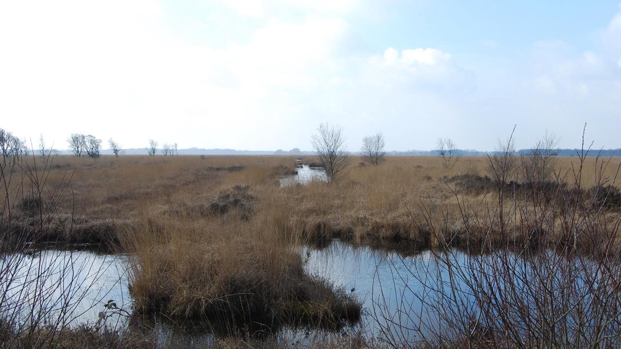 Photo of Outdoor in Veenhuizen