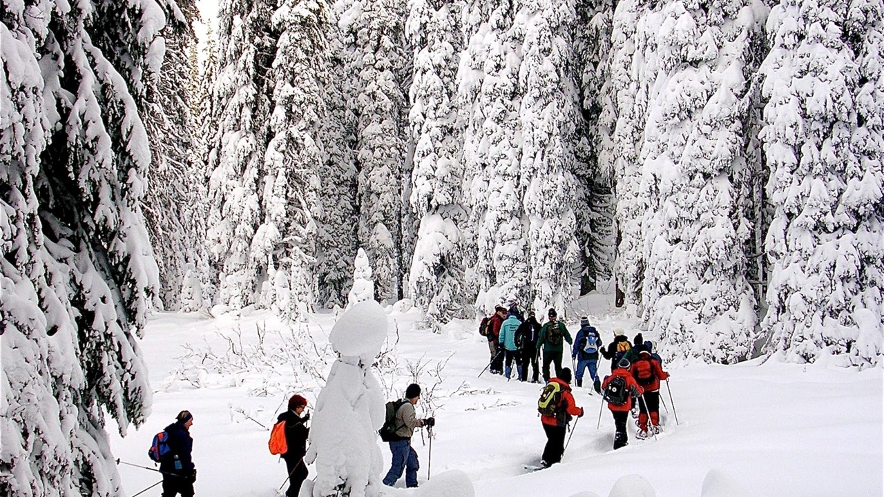 Photo of Others in Silver Star Mountain
