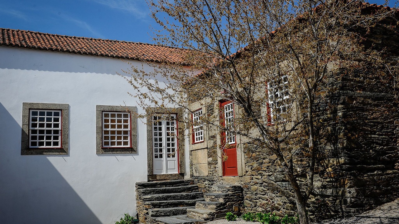 Photo of Outdoor in Provesende