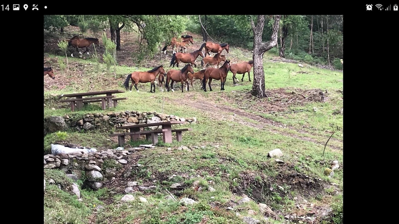Photo of Others in Cardielos