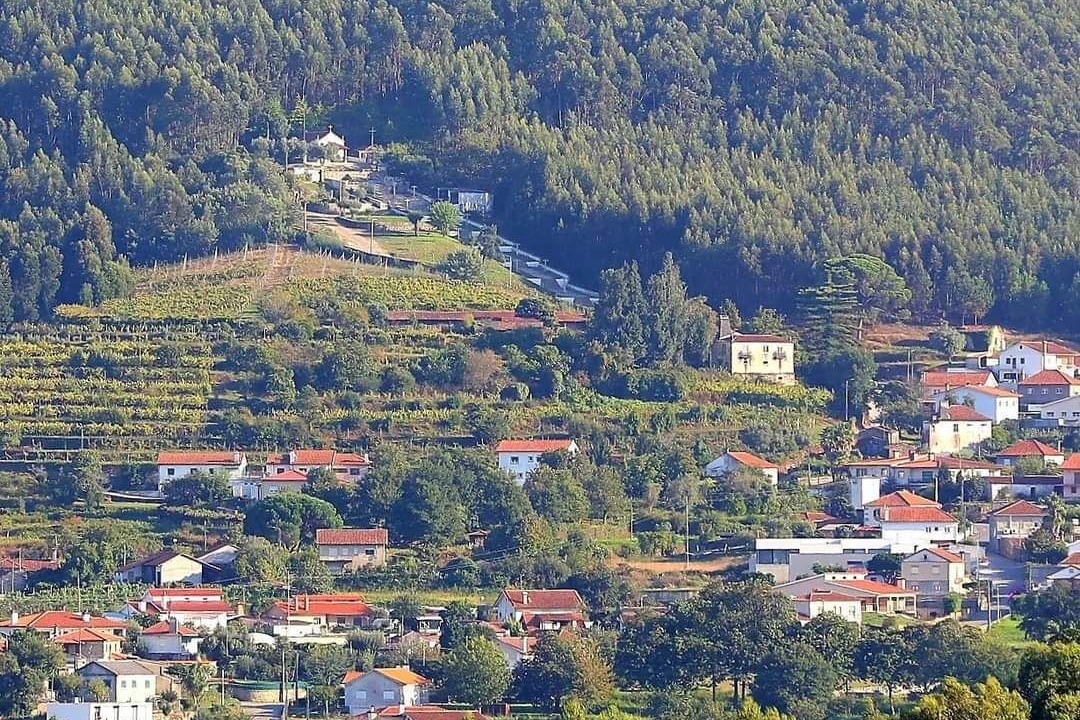 Photo of Outdoor in Cardielos