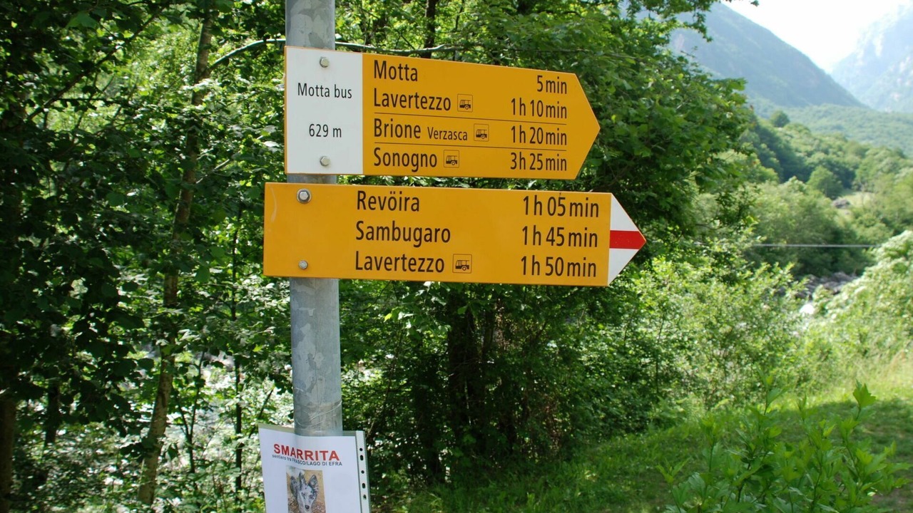 Photo of Outdoor in Brione
