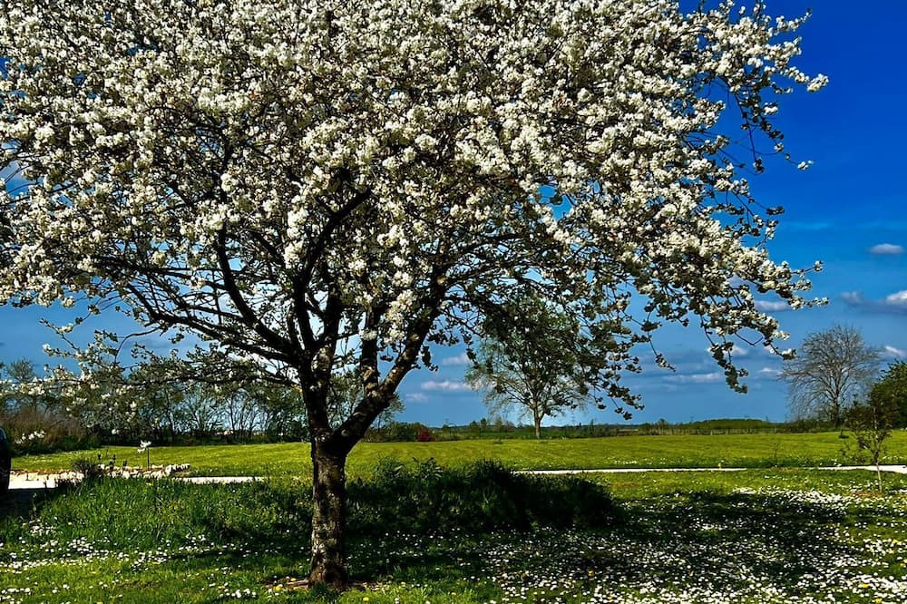 Photo of Outdoor in Chevigny-en-Valiere
