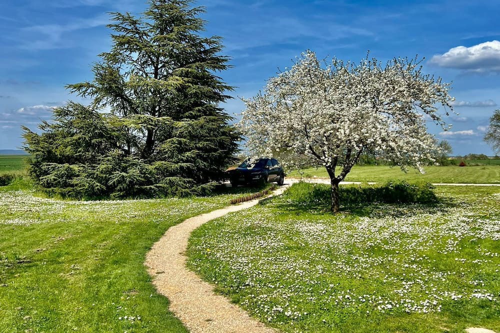 Photo of Outdoor in Chevigny-en-Valiere