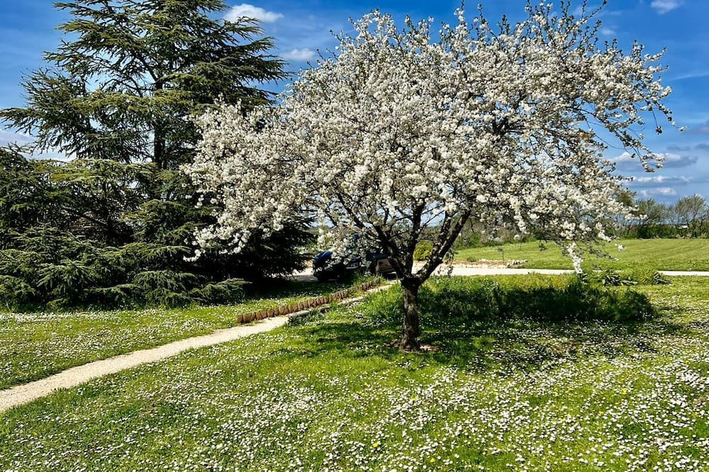 Photo of Outdoor in Chevigny-en-Valiere