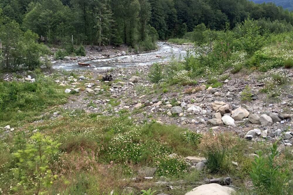 Photo of Outdoor in Warnick