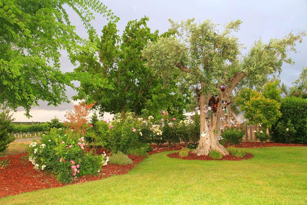 Photo of Outdoor in Alter do Chao