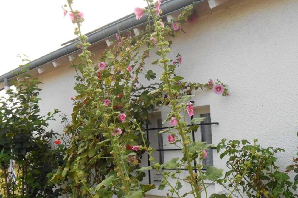 Photo of Outdoor in Dampierre-en-Burly