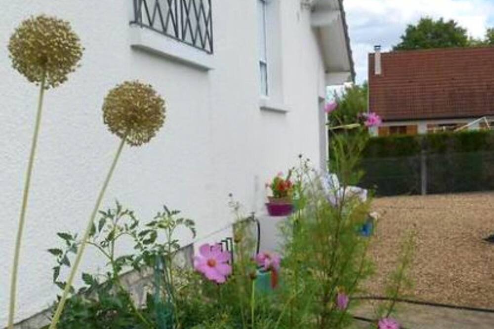 Photo of Outdoor in Dampierre-en-Burly