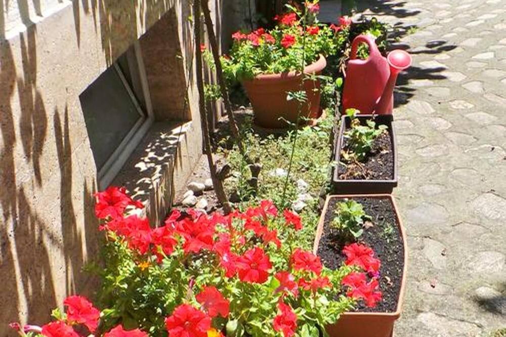 Photo of Outdoor in Sibiel