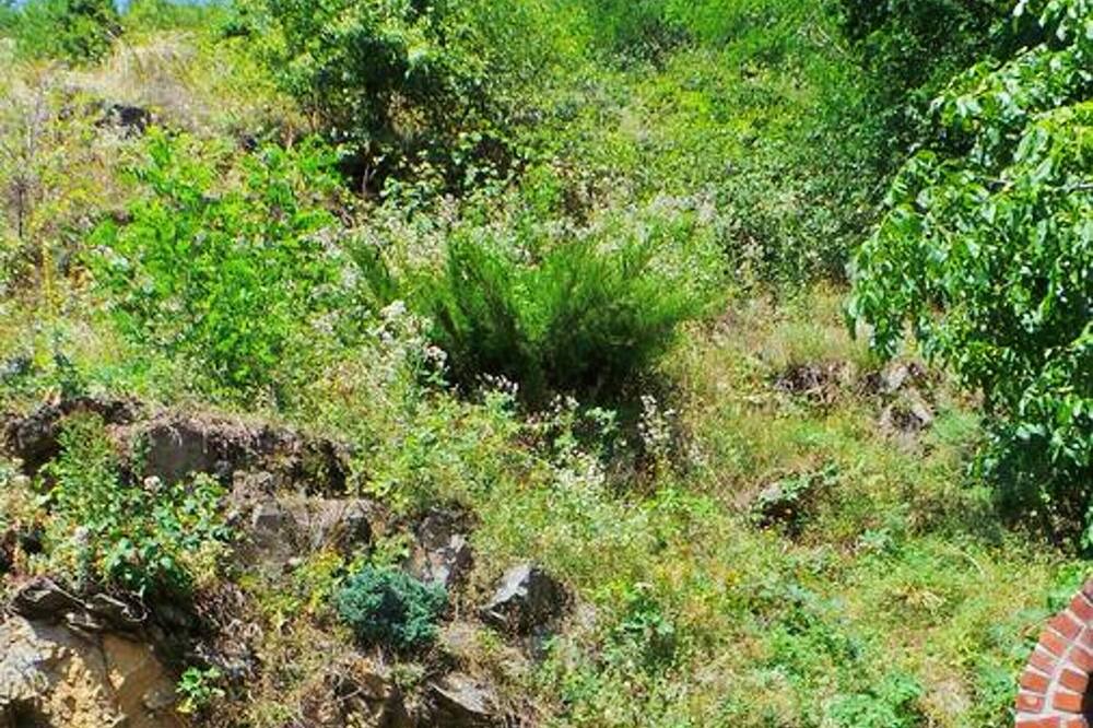 Photo of Outdoor in Sibiel
