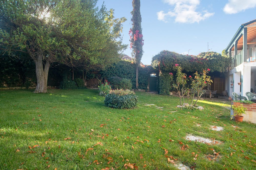 Photo of Outdoor in Sardon de Duero