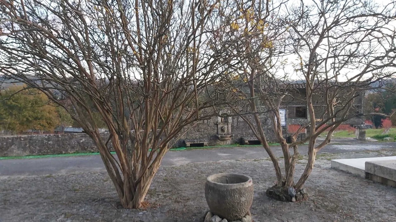 Photo of Outdoor in Sao Pedro do Sul