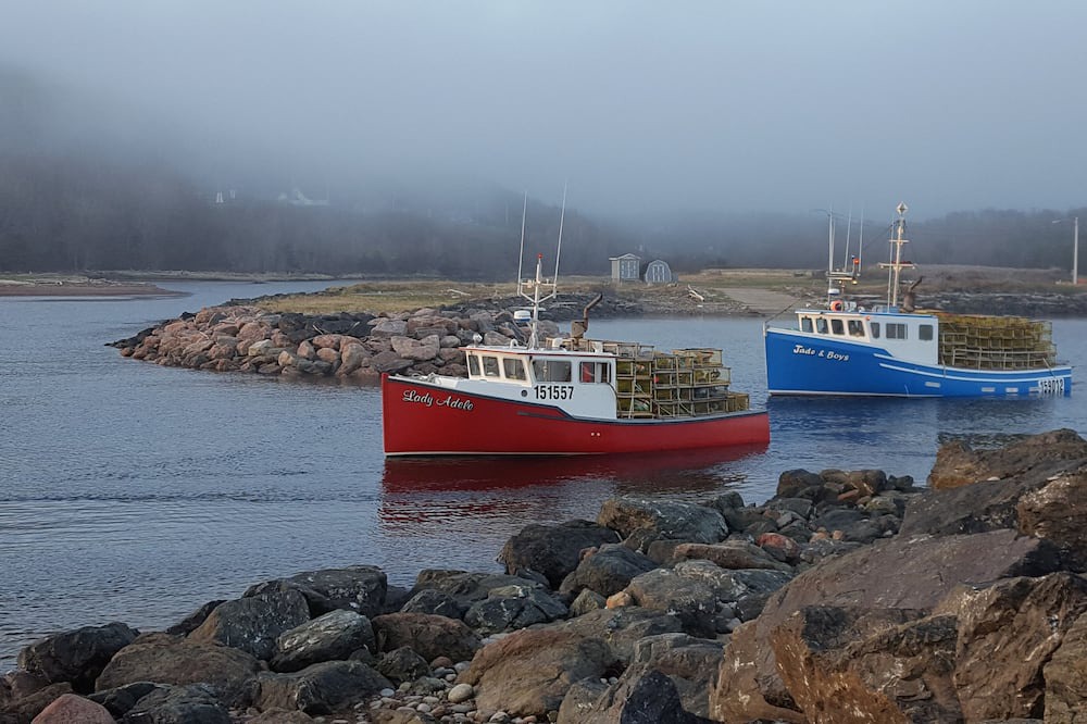Photo of Others in Pleasant Bay