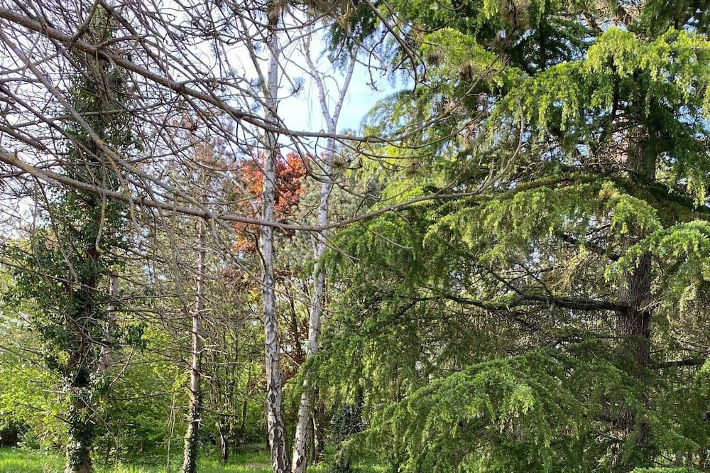 Photo of Outdoor in Concriers