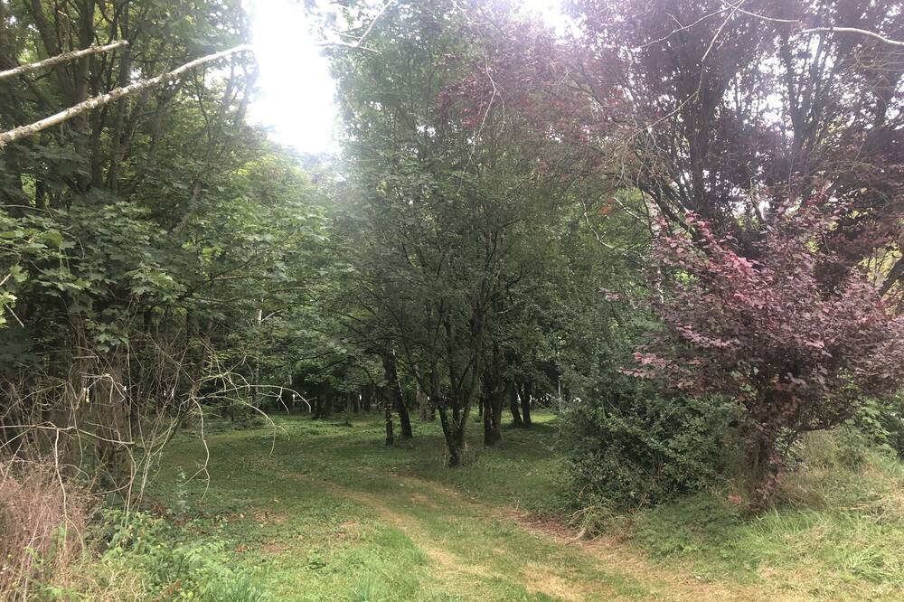 Photo of Outdoor in Concriers