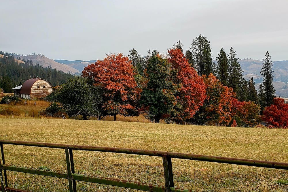 Photo of Outdoor in Ahsahka