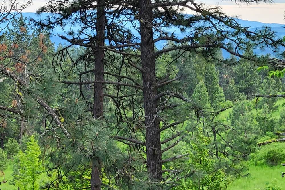 Photo of Outdoor in Ahsahka