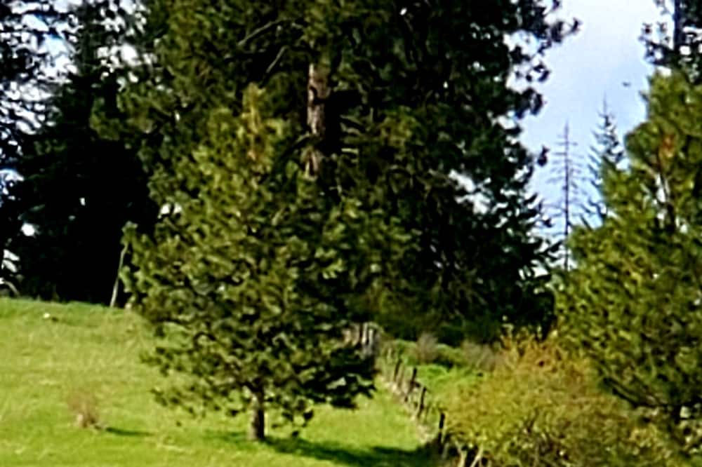 Photo of Outdoor in Ahsahka