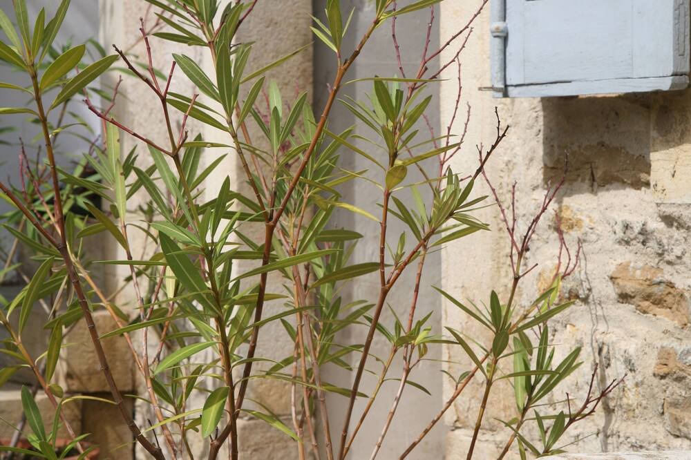Photo of Others in Meursault