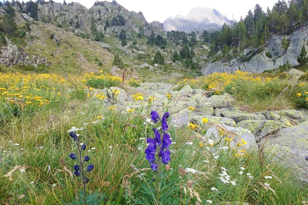 Photo of Outdoor in Llimiana