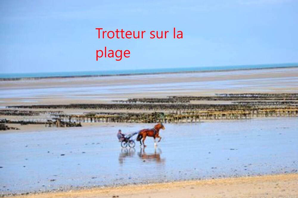 Photo of Others in Fleury