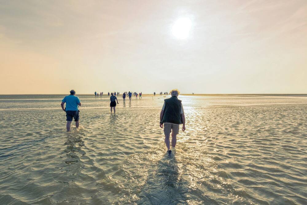 Photo of Others in Lauwersoog