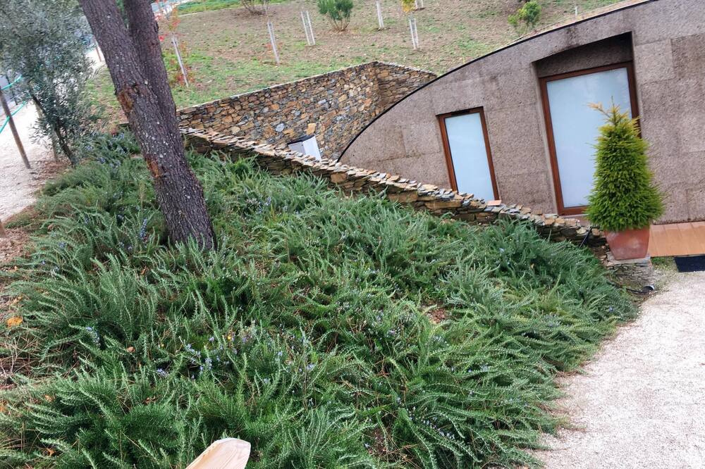 Photo of Outdoor in Seia