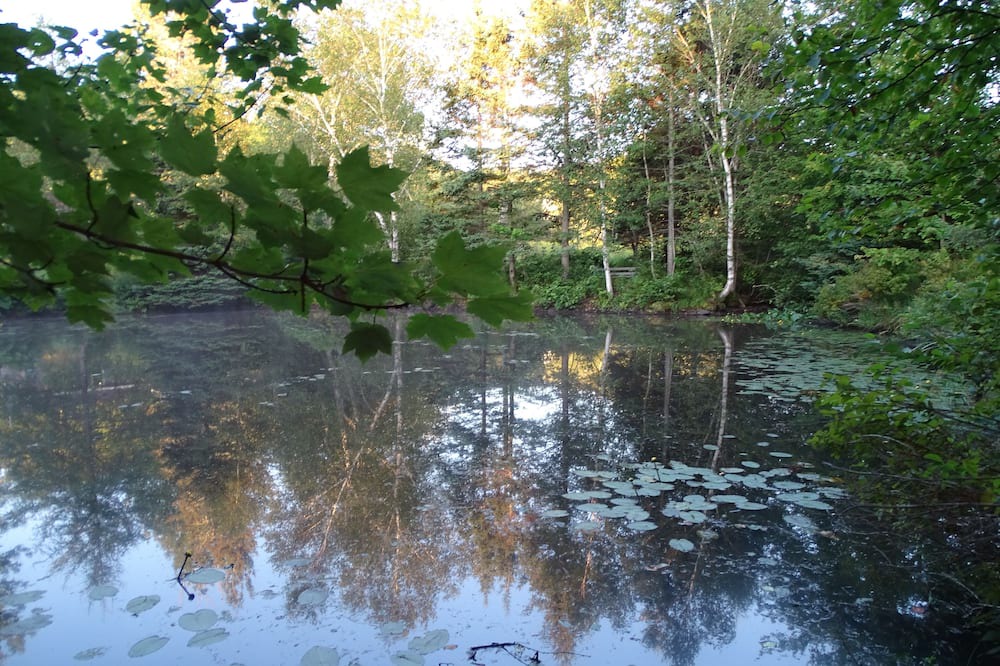Photo of Outdoor in Mineville