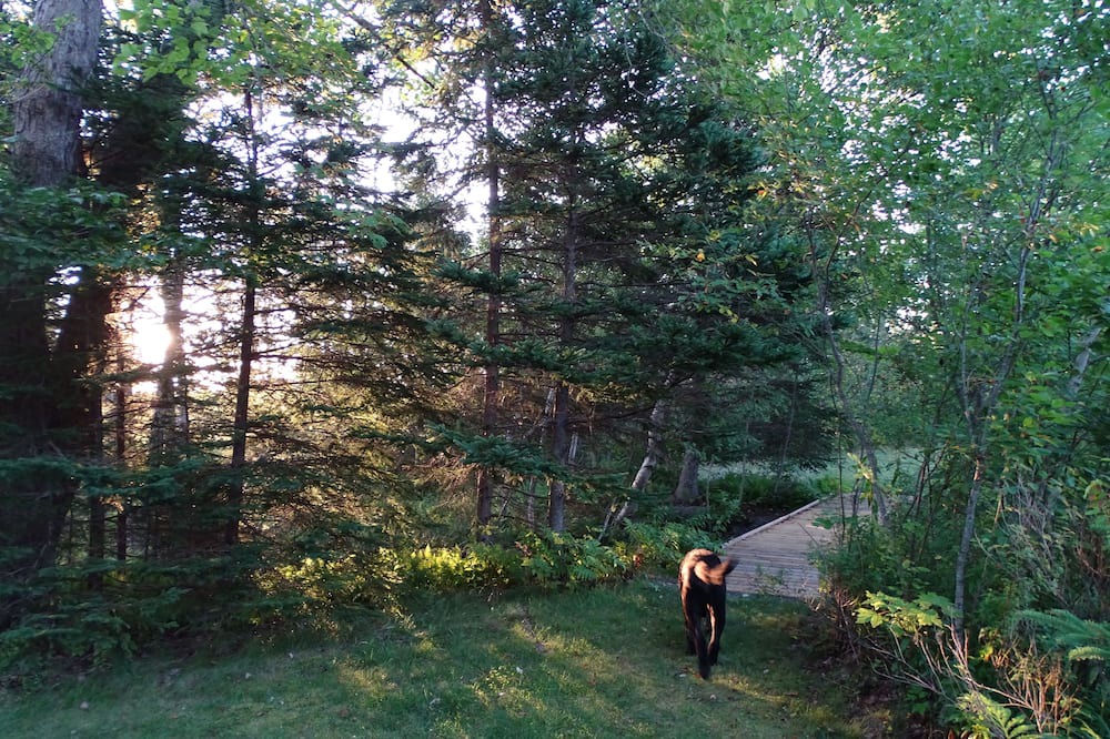Photo of Outdoor in Mineville