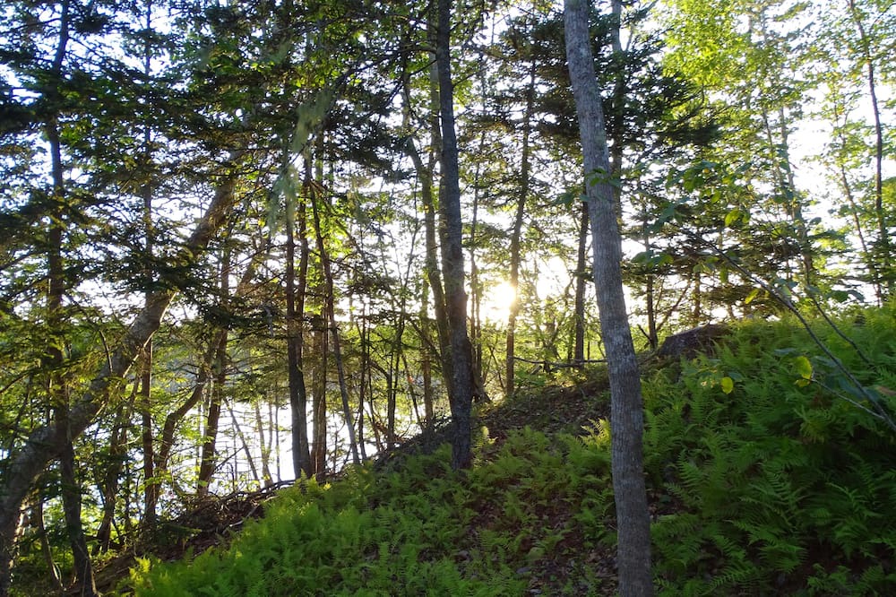 Photo of Outdoor in Mineville