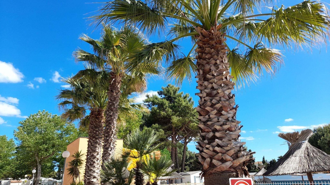 Photo of Outdoor in Le Grau-dʼAgde