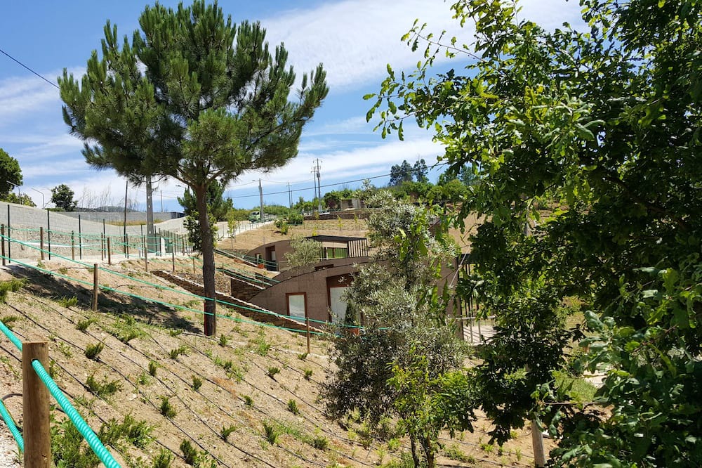Photo of Outdoor in Seia