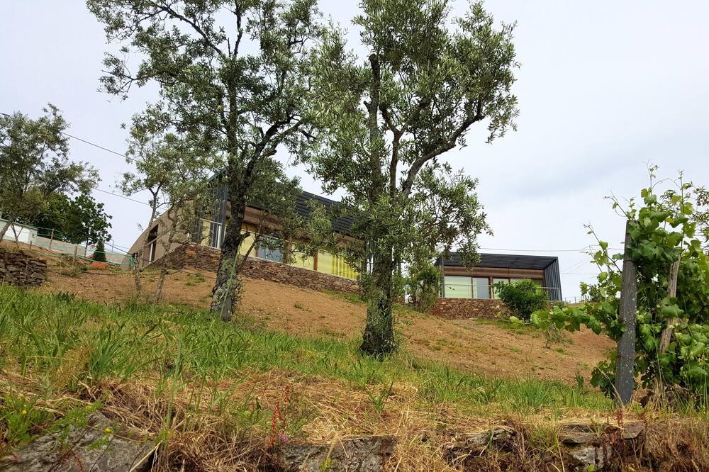 Photo of Outdoor in Seia