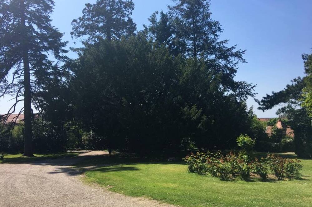 Photo of Outdoor in La Gaubretiere