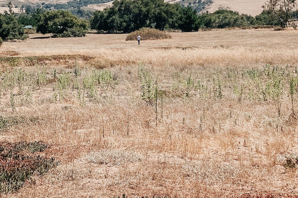 Photo of Outdoor in Lompoc