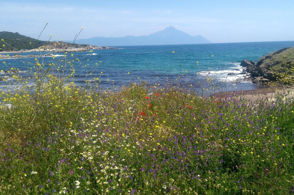 Photo of Outdoor in Sarti