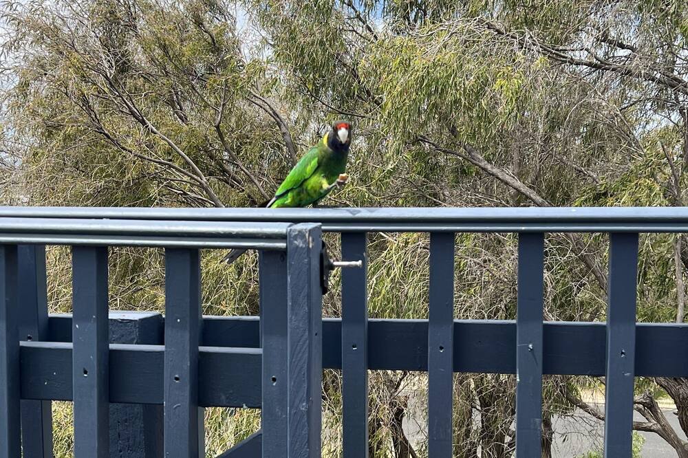 Photo of Patio Balcony in Preston Beach