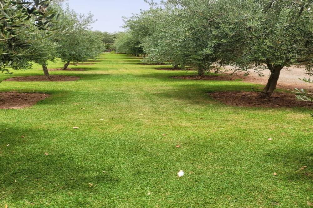 Photo of Outdoor in Zaouia Sidi Abdallah Ben Sassi