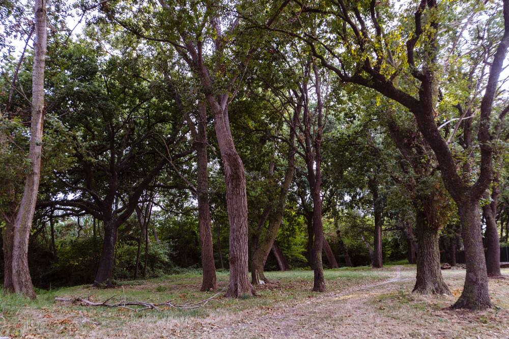Photo of Outdoor in San Tommaso Tre Archi