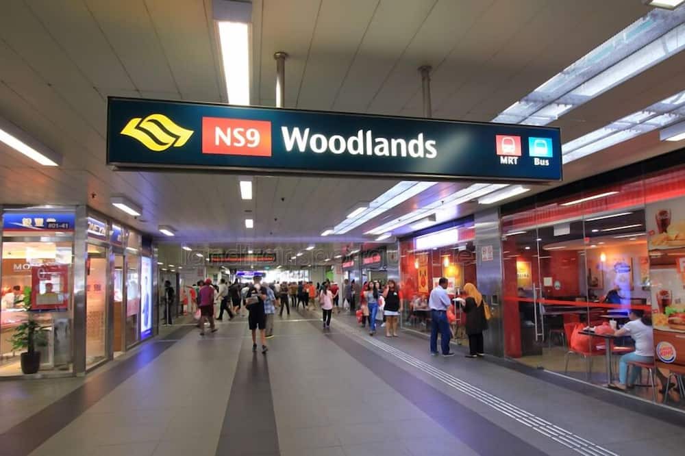 Photo of Outdoor in Woodlands
