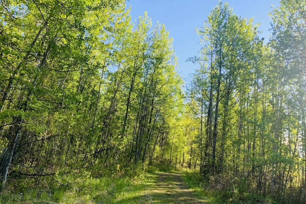 Photo of Outdoor in Westerose