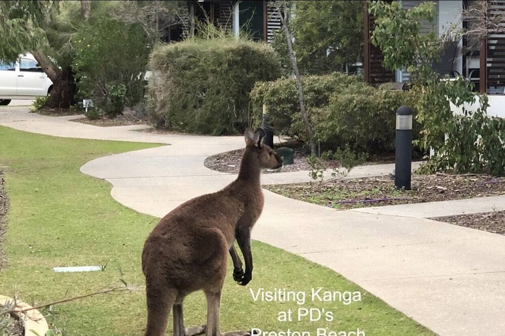 Photo of Others in Preston Beach