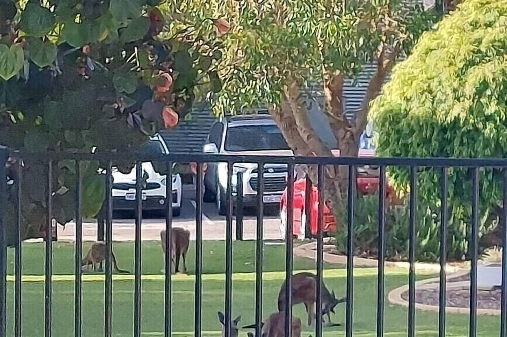 Photo of Outdoor in Preston Beach