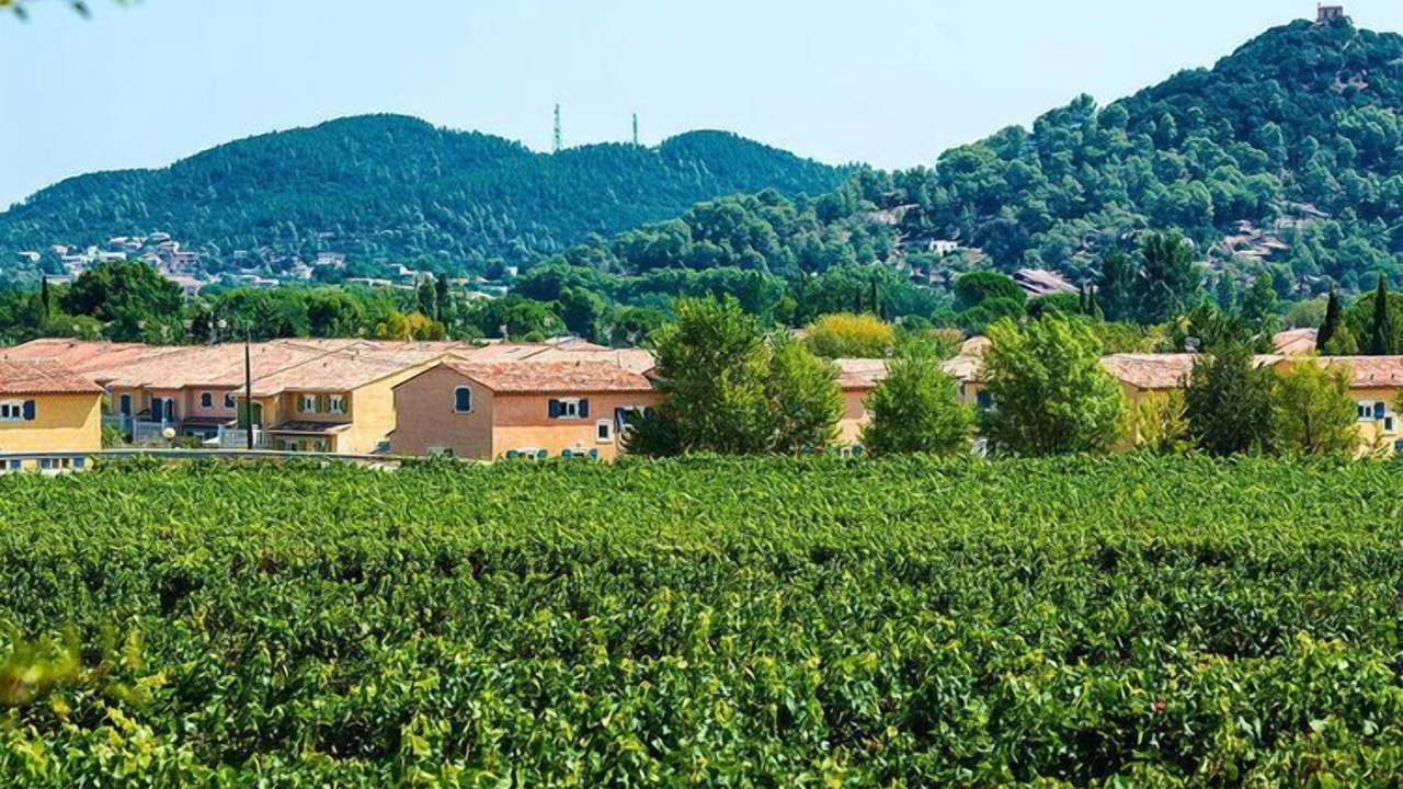 Photo of Outdoor in Vidauban