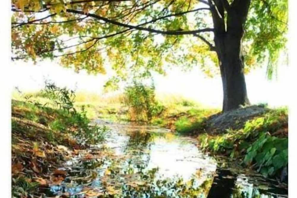 Photo of Outdoor in Polson