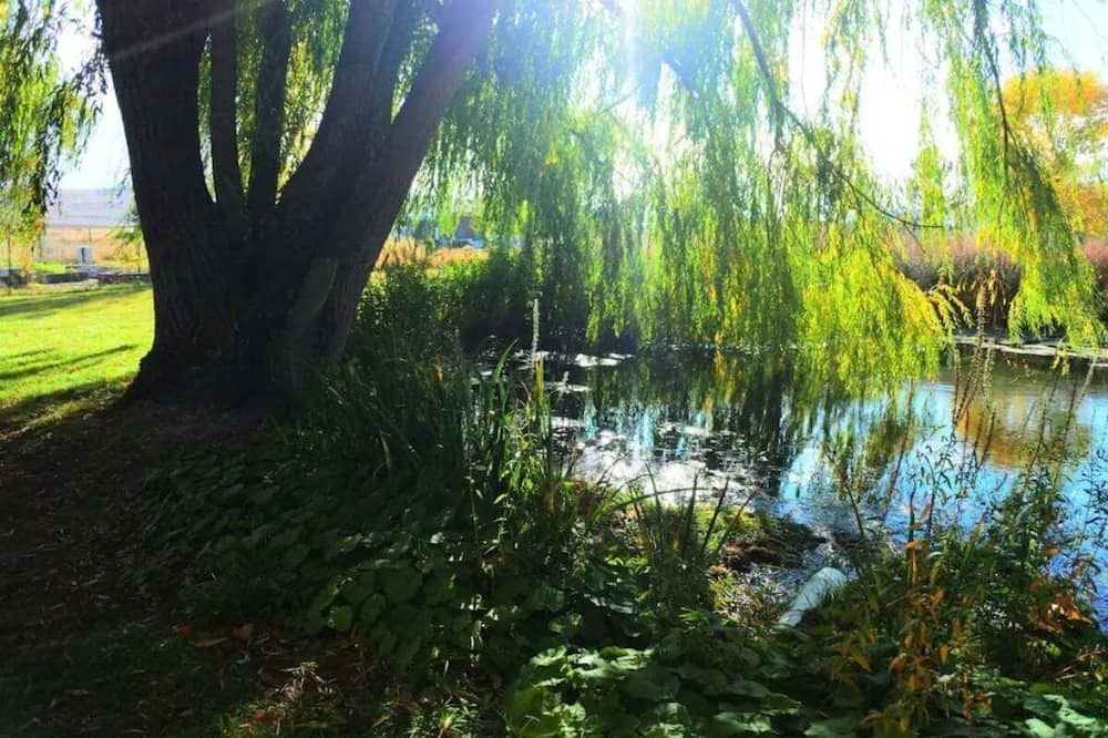 Photo of Outdoor in Polson
